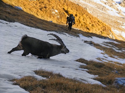 Maschioni-Foto-Genero-Montasio